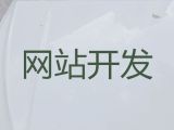 平凉市专业网站设计公司%房产网站建设，专业团队