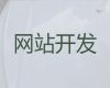 平凉市专业网站设计公司%房产网站建设，专业团队