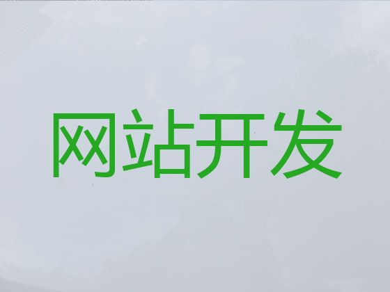 阜阳市网站开发公司-商城建设，专业建站公司