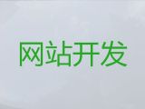 阜阳市网站开发公司-商城建设，专业建站公司