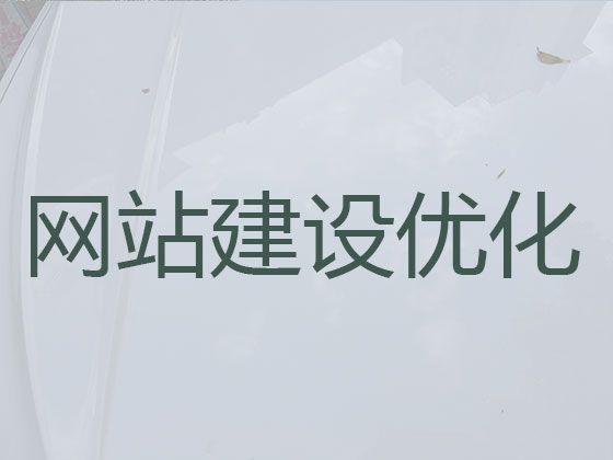 天津市购物网站设计开发#网站定制，专业设计团队