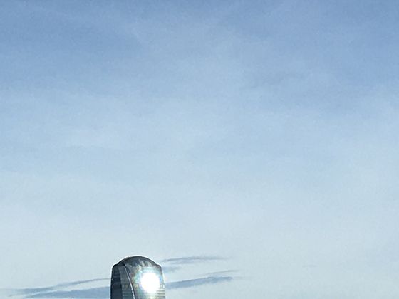 探秘可可西里无人区荒野:跟着藏羚羊迁徙轨迹读懂高原生态的生存智慧