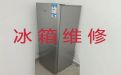 沈阳市专业冰箱维修上门维修-专业冰柜维修服务