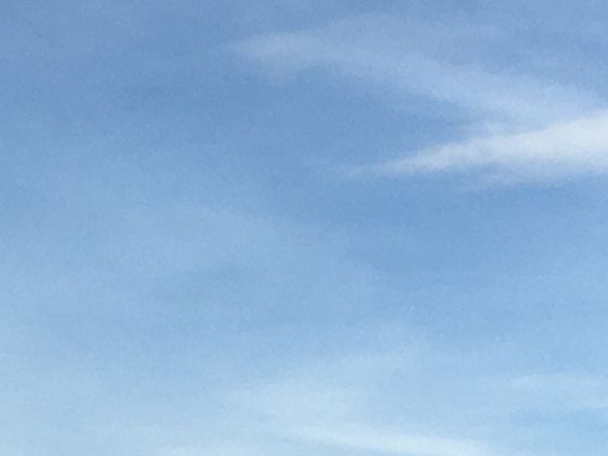 古籍里的大闸蟹是什么样的？从历史文献看大闸蟹的认知演变