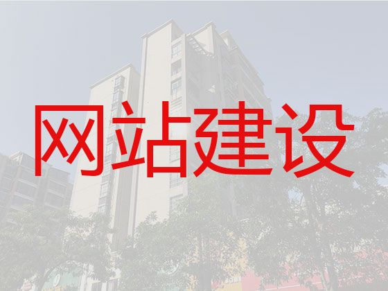 长沙市软件系统开发#网站开发，高端网站开发设计
