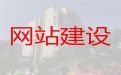 长沙市软件系统开发#网站开发，高端网站开发设计