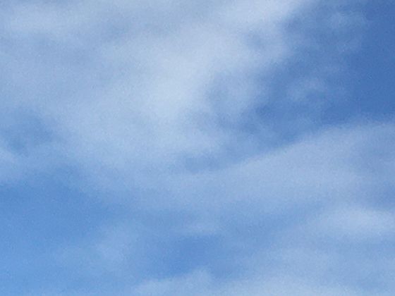 琥珀酸的广泛足迹：在生物代谢、食品调味与工业生产中的多样价值