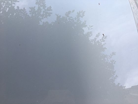 探究雪尘在季节交替时的变化规律，能发现哪些有趣的自然现象关联
