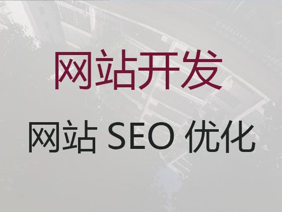 天津市品牌网站建设设计&企业商城建设，优秀开发团队