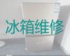 湖州市冰箱维修上门维修电话-冰箱冰柜不制冷维修服务