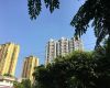 武汉市汉阳区有房本就能贷，房屋抵押贷款公司代办