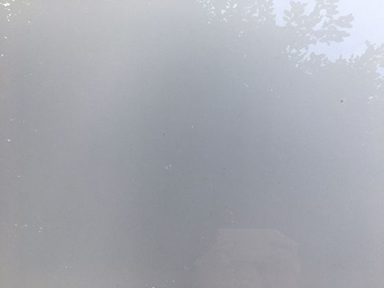 河马群体中存在怎样的社会结构？群体生活的规则藏着不少有趣现象