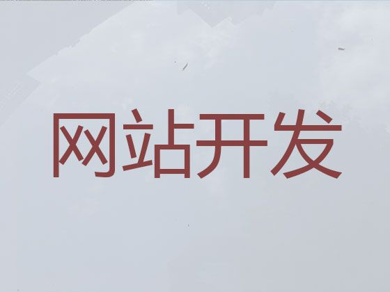 南安市网站开发本地公司-高效获客，价格透明